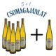 (5+1) Götz 2019 Tokaji Furmint Félédes 0,75