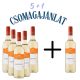 (5+1) Mészáros Pál 2024 Chardonnay