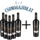 (5+1) Mészáros Pál 2022 Grandiózus Malbec