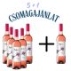 (5+1)  2024 Vylyan Kakas Villányi Rozé száraz rosé bor